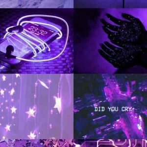 Meet your Posher, Piper